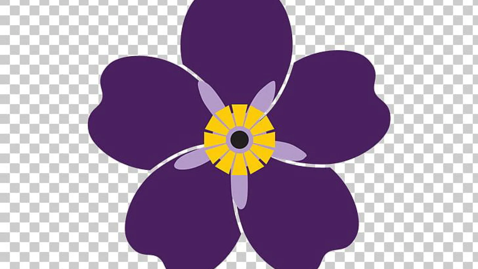 Violet flower