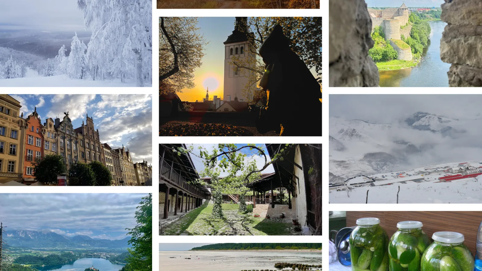 2023 photo contest collage