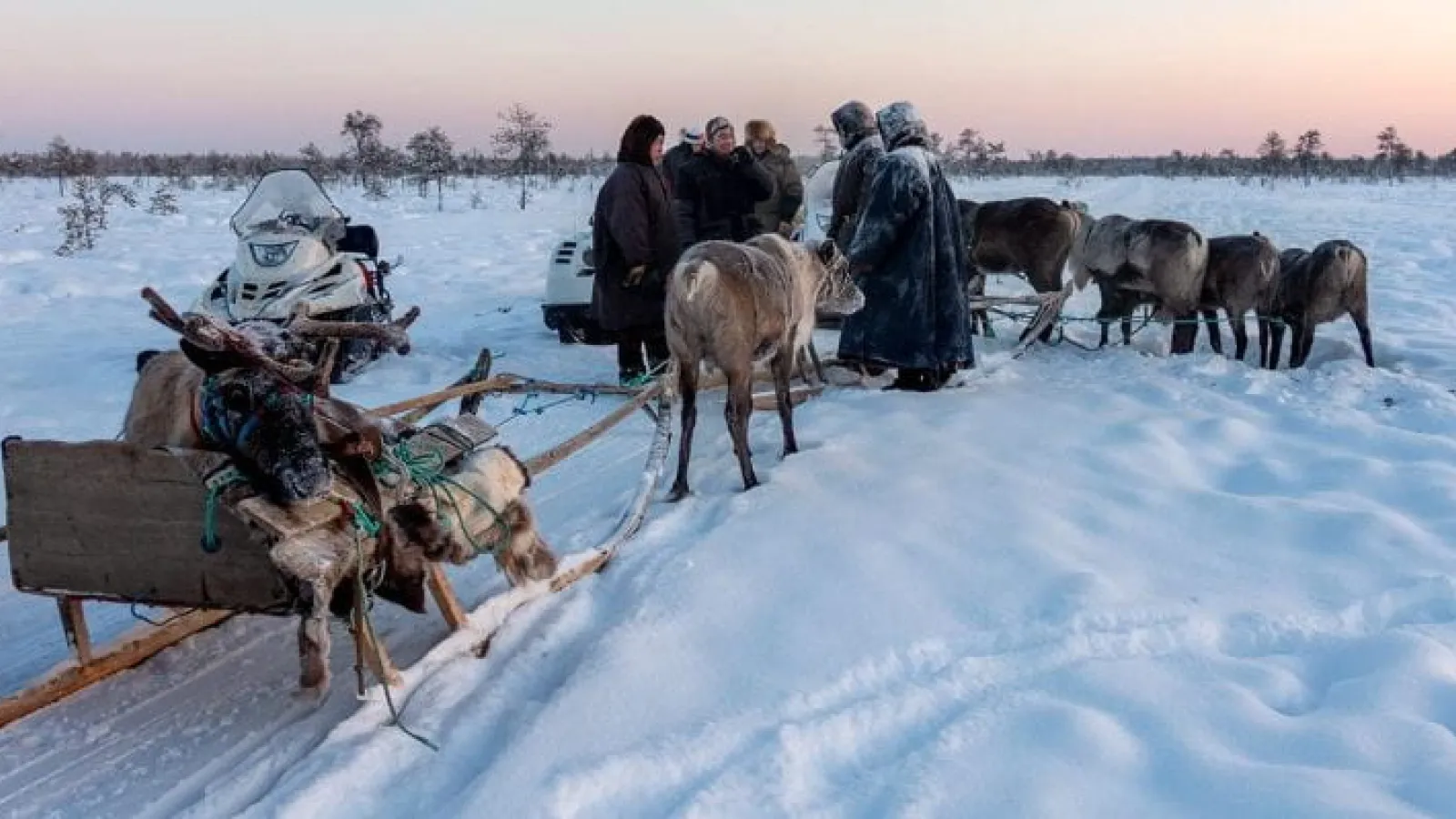Nenets people of Siberia with a sled
